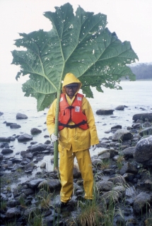教育・研究内容の紹介