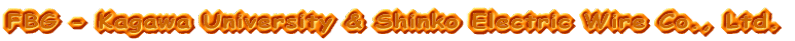 FBG - Kagawa University & Shinko Electric Wire Co., Ltd.